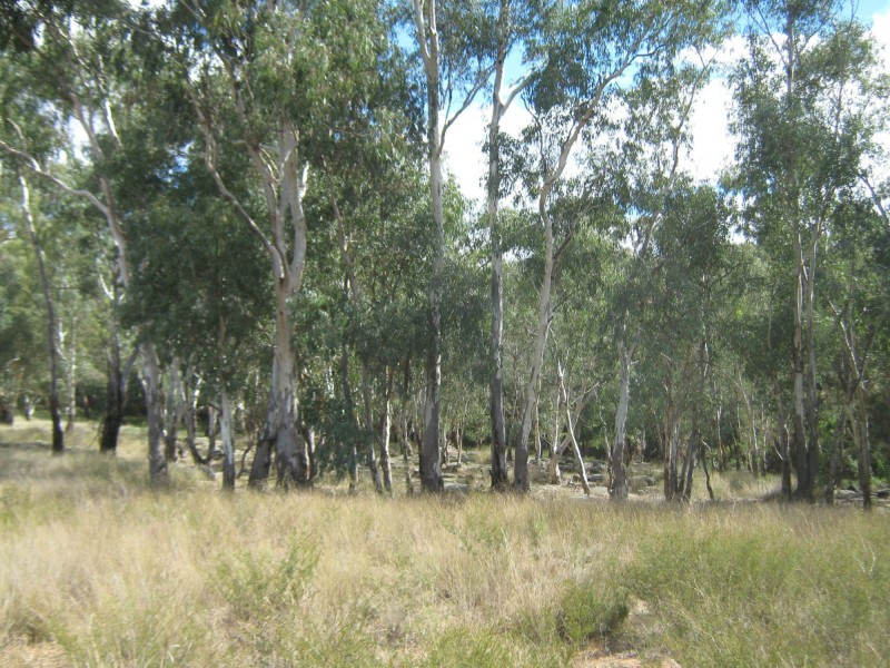 Lot 4 Spicers Creek Road, Elong Elong NSW 2831
