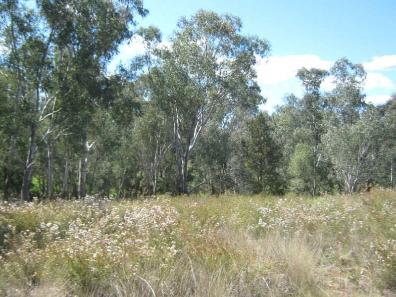 Lot 4 Spicers Creek Road, Elong Elong NSW 2831