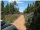 Lot 4 Spicers Creek Road, Elong Elong NSW 2831