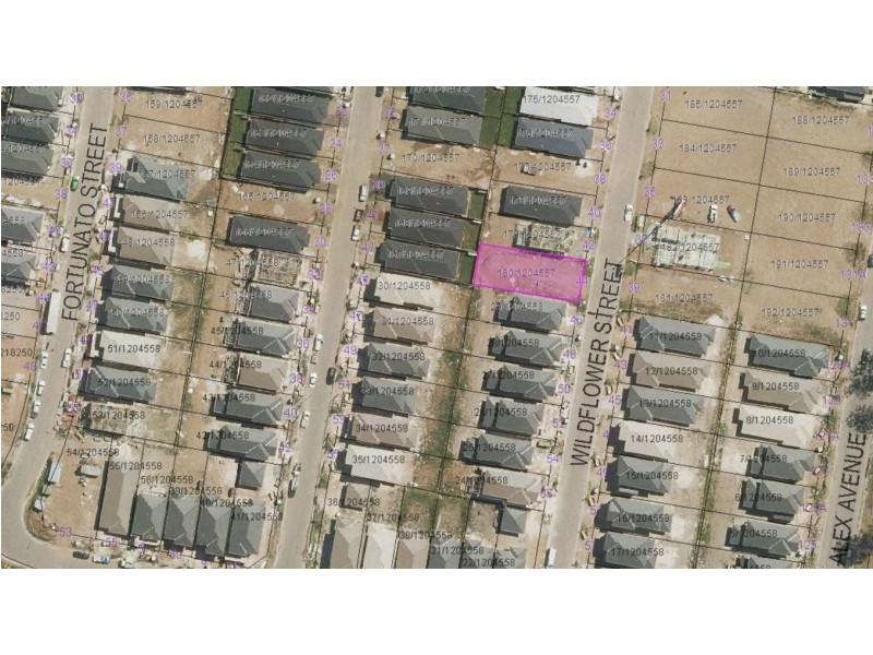 44 Wildflower St, Schofields NSW 2762