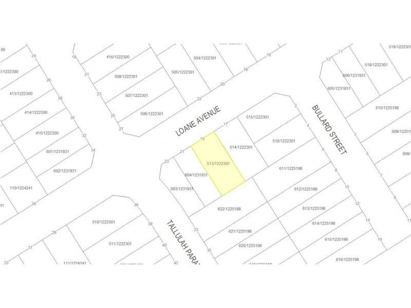 19 Loane Avenue, Riverstone NSW 2765