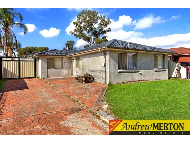 36 Emerson Street, Shalvey NSW 2770