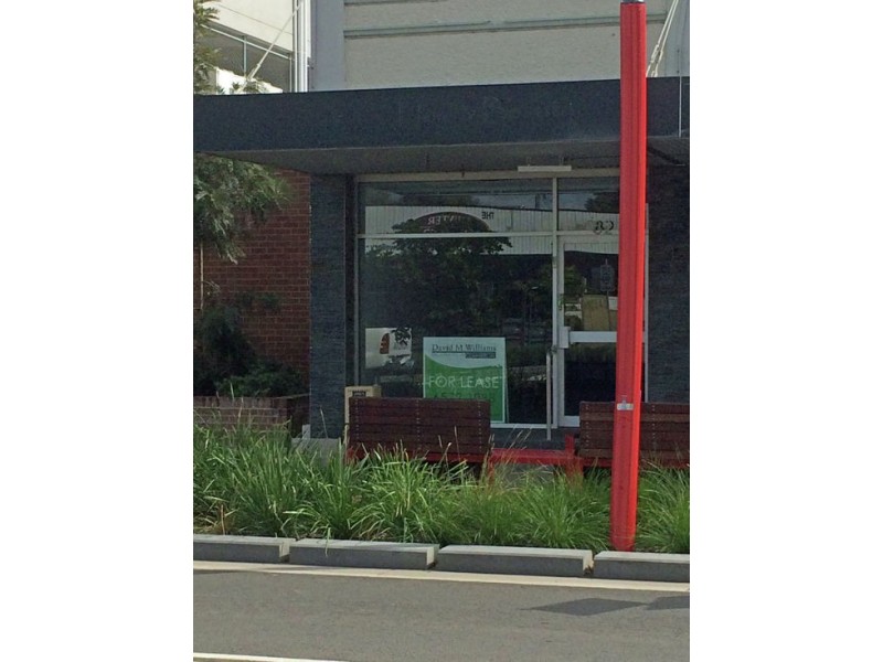 82 John Street, Singleton NSW 2330