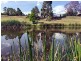 254 Wattle Ponds Road, Singleton NSW 2330