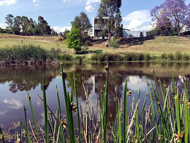 254 Wattle Ponds Road, Singleton NSW 2330