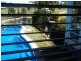 254 Wattle Ponds Road, Singleton NSW 2330