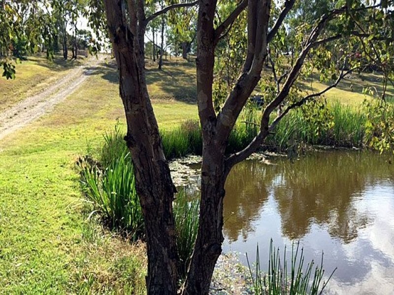 254 Wattle Ponds Road, Singleton NSW 2330