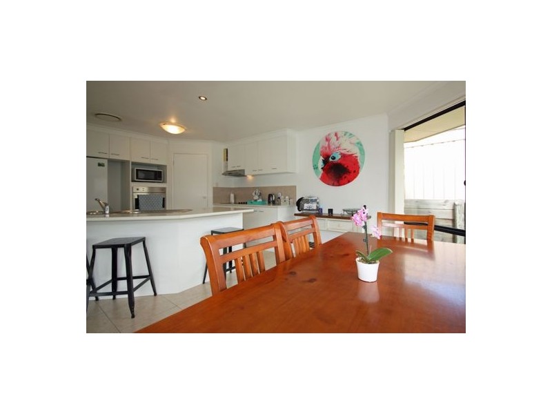 25 Nelson Drive, Singleton NSW 2330