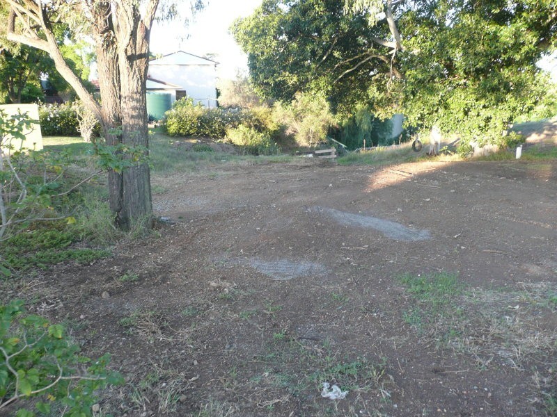 38A Falkiner Crescent, Singleton NSW 2330