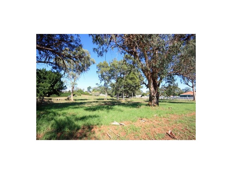 21 Greenwood Avenue, Singleton NSW 2330