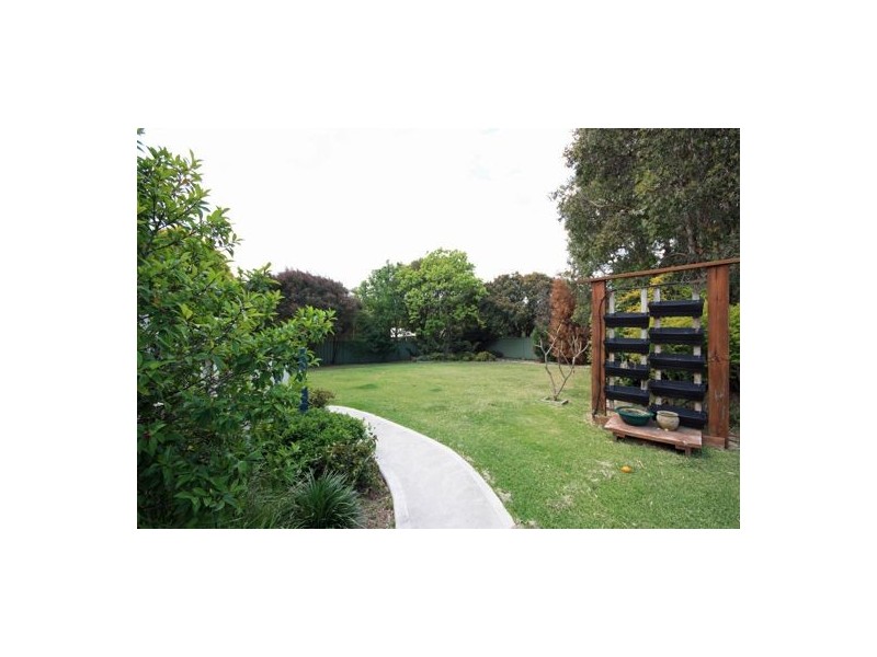 13 Willcox Avenue, Singleton NSW 2330