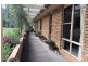 3 Governor Martin Close, Singleton NSW 2330