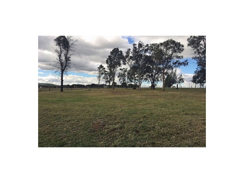 99 Long Point Road East, Singleton NSW 2330