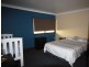 92 Alpha Street, Camberwell NSW 2330