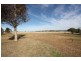 383 Maison Dieu Road, Singleton NSW 2330