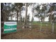 Lot 175 Brigadier Hammett Road, Singleton NSW 2330