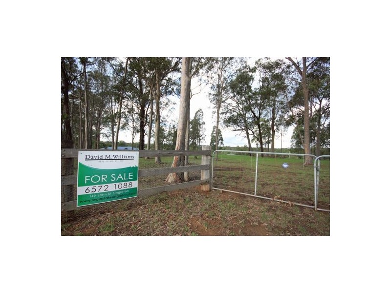 Lot 175 Brigadier Hammett Road, Singleton NSW 2330