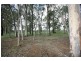 Lot 175 Brigadier Hammett Road, Singleton NSW 2330