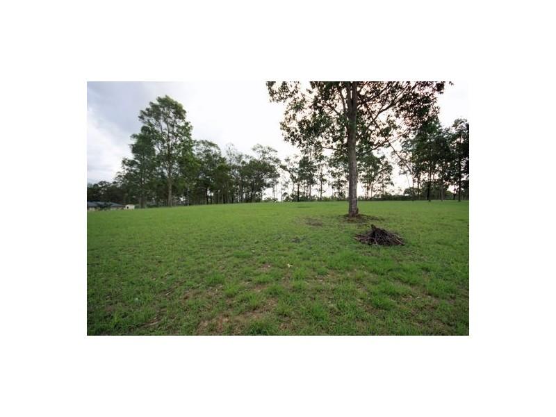 Lot 175 Brigadier Hammett Road, Singleton NSW 2330
