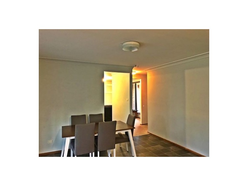 19 Simpson Terrace, Singleton NSW 2330