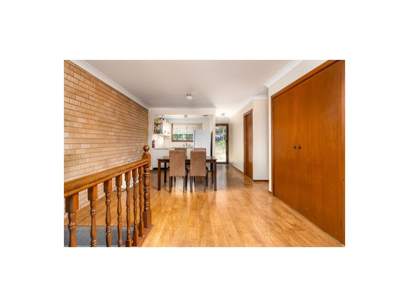8 Button Close, Singleton NSW 2330