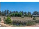 63 Brigadier Hammett Road, Singleton NSW 2330