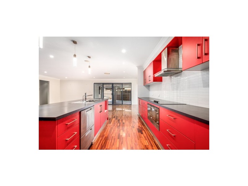 1 Douglas Place, Singleton NSW 2330