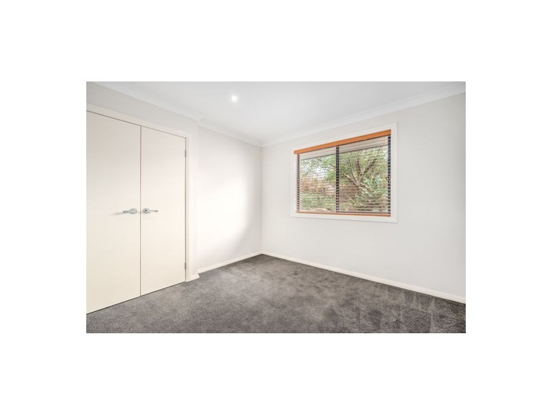 1 Douglas Place, Singleton NSW 2330