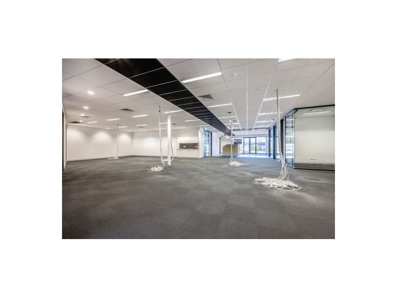 Units 5 & 6 21 Ryan Avenue, Singleton NSW 2330