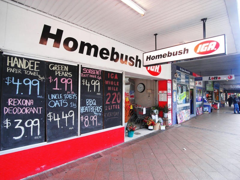 55 Underwood Road, Homebush NSW 2140