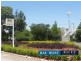 31 Carrington Street, North Strathfield NSW 2137