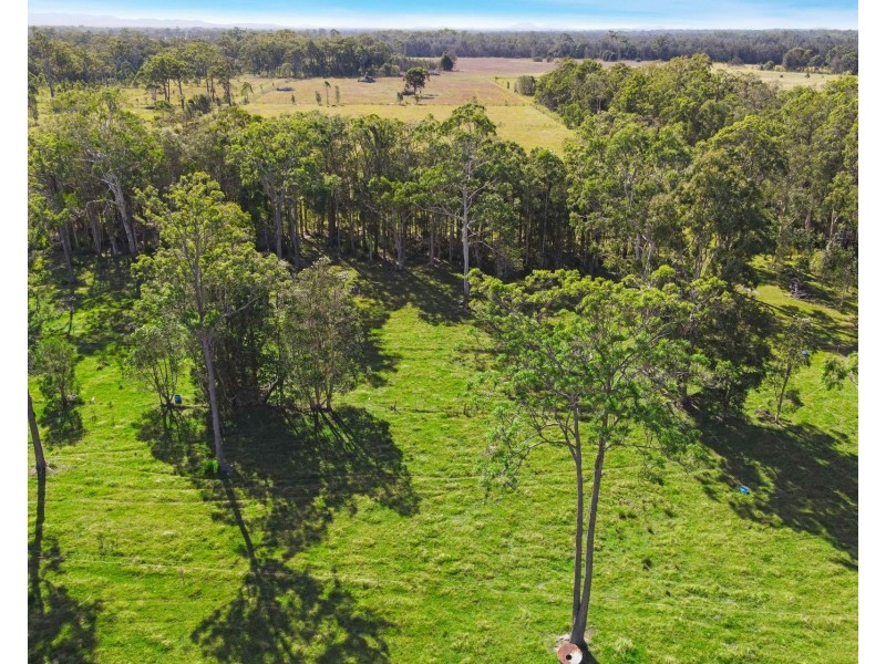 353 Blackmans Point Road, Blackmans Point NSW 2444