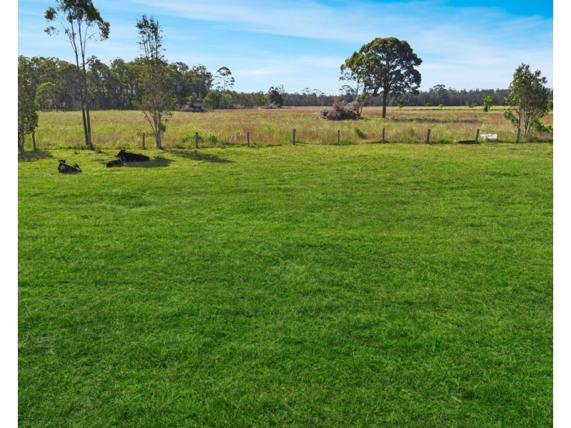 353 Blackmans Point Road, Blackmans Point NSW 2444