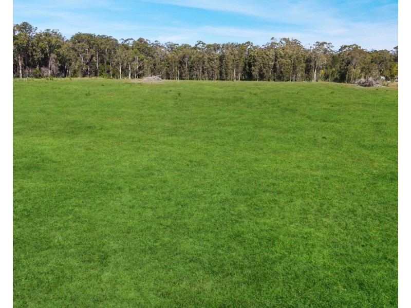 353 Blackmans Point Road, Blackmans Point NSW 2444