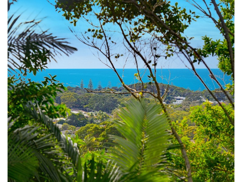 24 Hibiscus Crescent, Port Macquarie NSW 2444