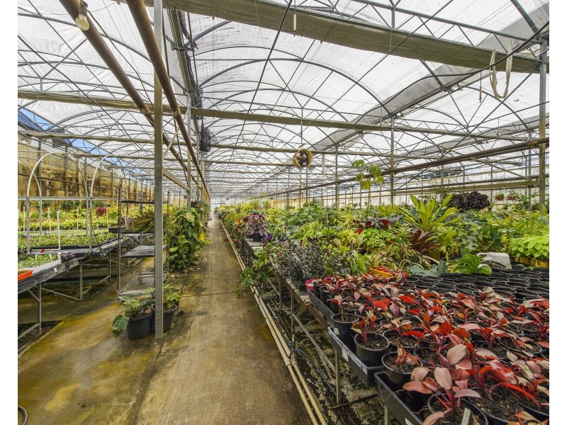 274 Rawdon Island Road, Sancrox NSW 2446