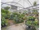 274 Rawdon Island Road, Sancrox NSW 2446