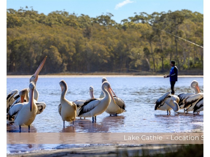 9 Evans Street, Lake Cathie NSW 2445
