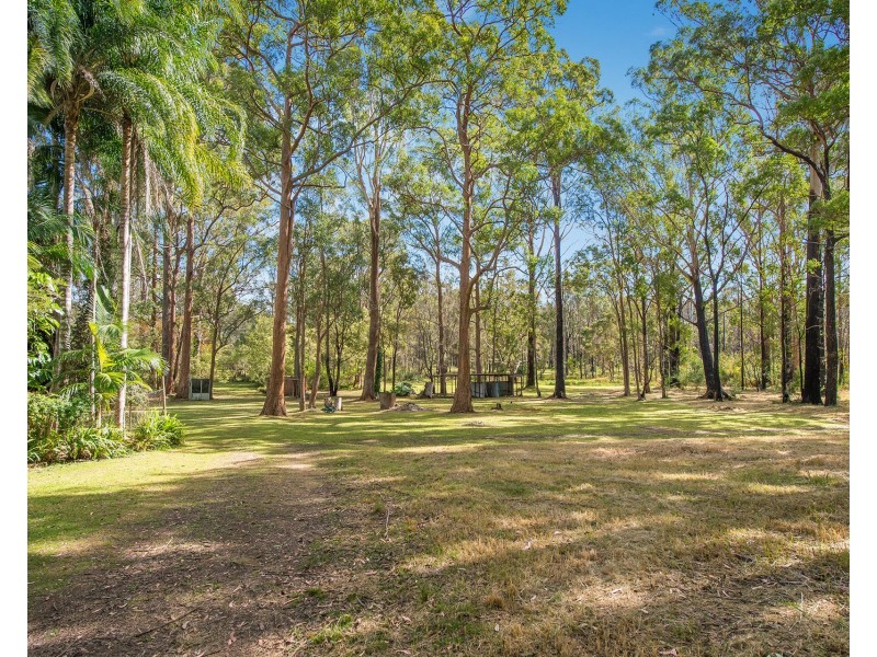 17 Thrumster Street, Thrumster NSW 2444