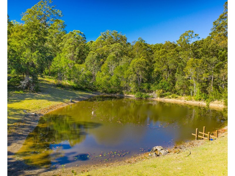58 Fishers Ridge, Mortons Creek NSW 2446