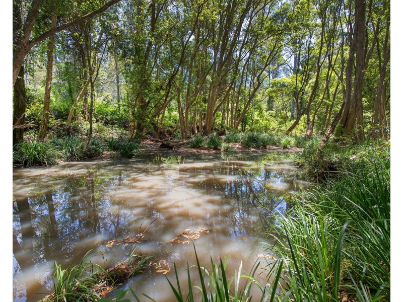 180 Upper Smiths Creek Road, Kundabung NSW 2441