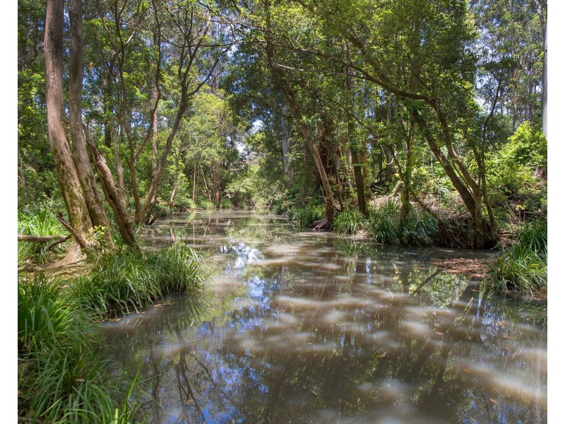 180 Upper Smiths Creek Road, Kundabung NSW 2441