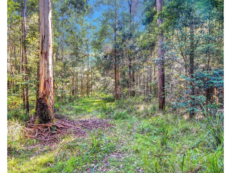 139 Molly Milligan Road, Marlo Merrican NSW 2446