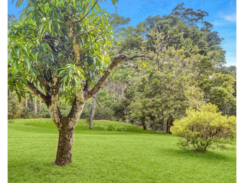 139 Molly Milligan Road, Marlo Merrican NSW 2446