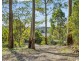 824 Batar Creek Road, Batar Creek NSW 2439