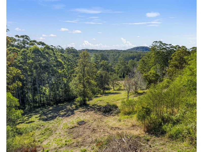 824 Batar Creek Road, Batar Creek NSW 2439