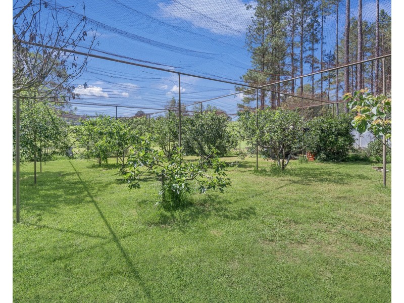 571 Bagnoo Road, Byabarra NSW 2446