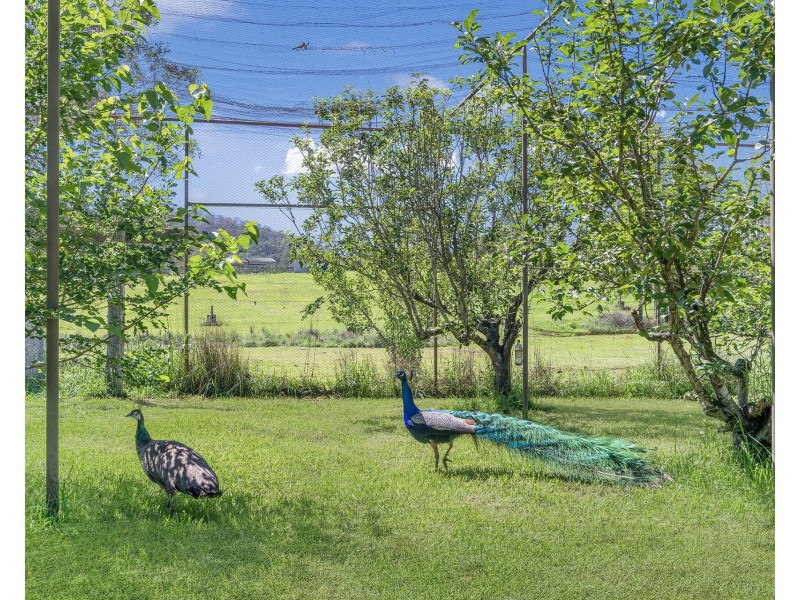 571 Bagnoo Road, Byabarra NSW 2446