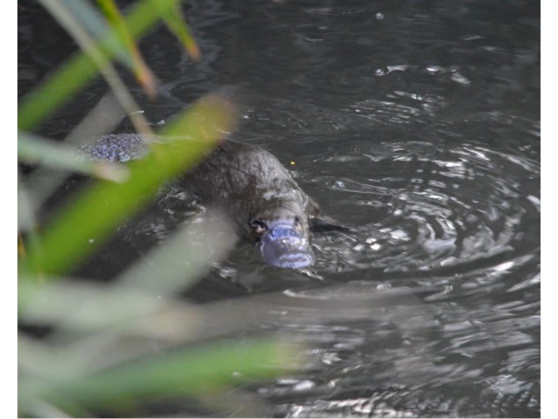 571 Bagnoo Road, Byabarra NSW 2446