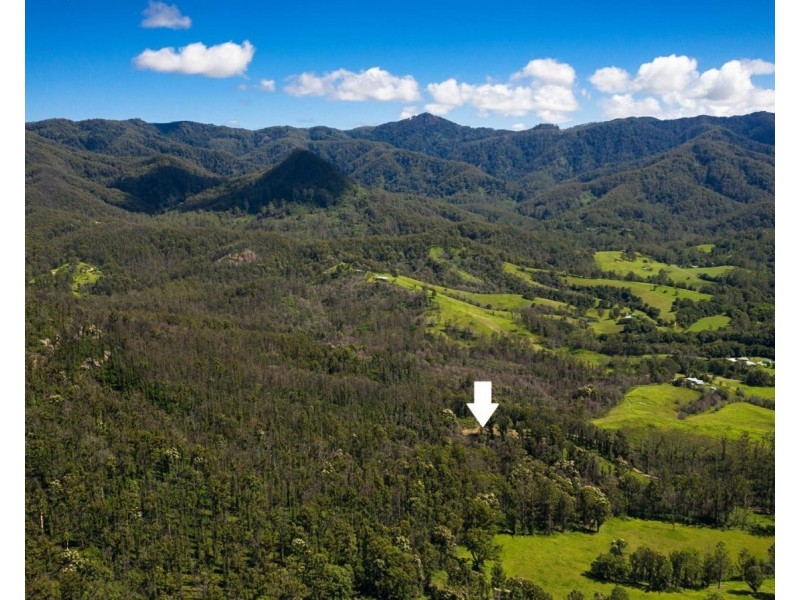 201 Mount Coxcomb Road, Upper Lansdowne NSW 2430